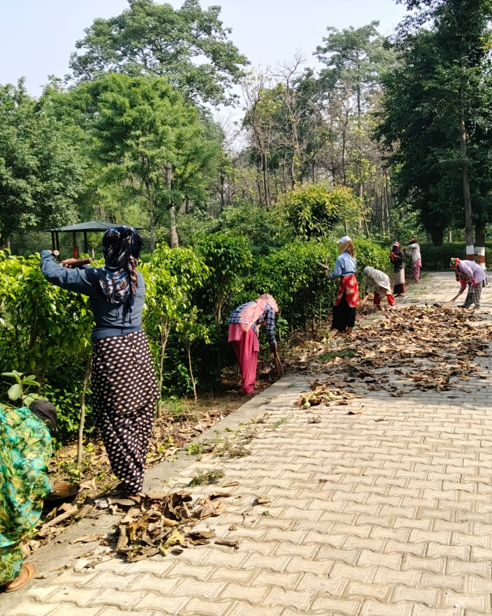Workers pruning hedges and clearing a paved path in a green site, documented during fieldwork