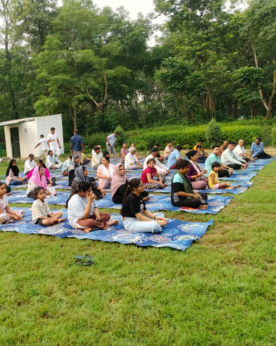 Community members gathered on mats in a green park, documented during fieldwork