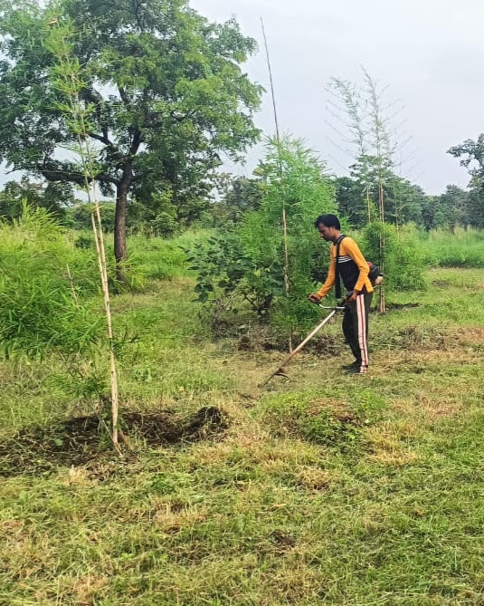 A worker clearing grass with a brush cutter at a green site, documented during fieldwork